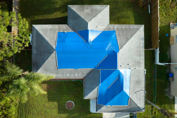 Best Asphalt Shingle Roofing  in Hayneville, AL